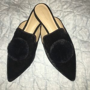 Ann Taylor flats